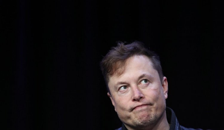 Elon Musk Reaches New Heights of Immaturity With His Latest Antics