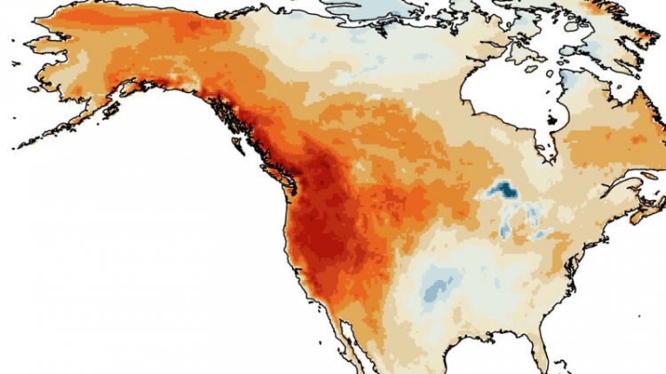 The summer of 2021 was the Pacific Northwest’s hottest in a millennium