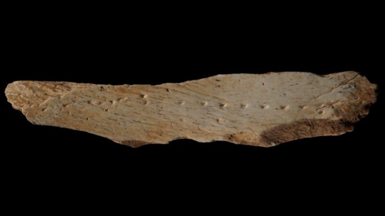 A prehistoric method for tailoring clothes may be written in bone