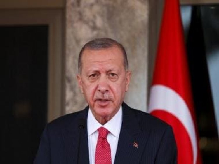 Watch: Turkish President Erdogan cuts off TV interview citing stomach bug