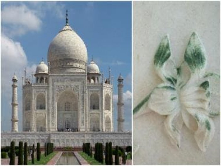 Taj Turning Green: Taj Mahal stained due to insects in Yamuna; ASI finds solution