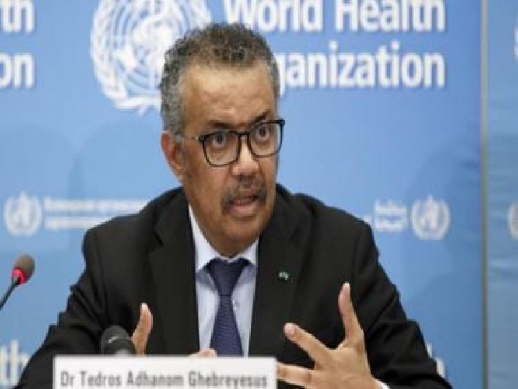 WHO anticipates more deaths in Sudan due to disease outbreaks, collapse of services