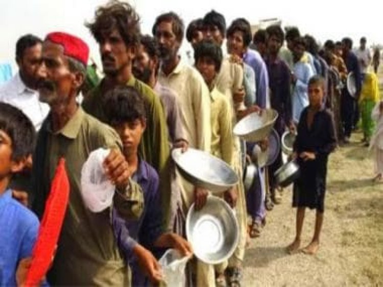 Pakistan Food Crisis: Acute shortage of wheat may lead to anarchy 