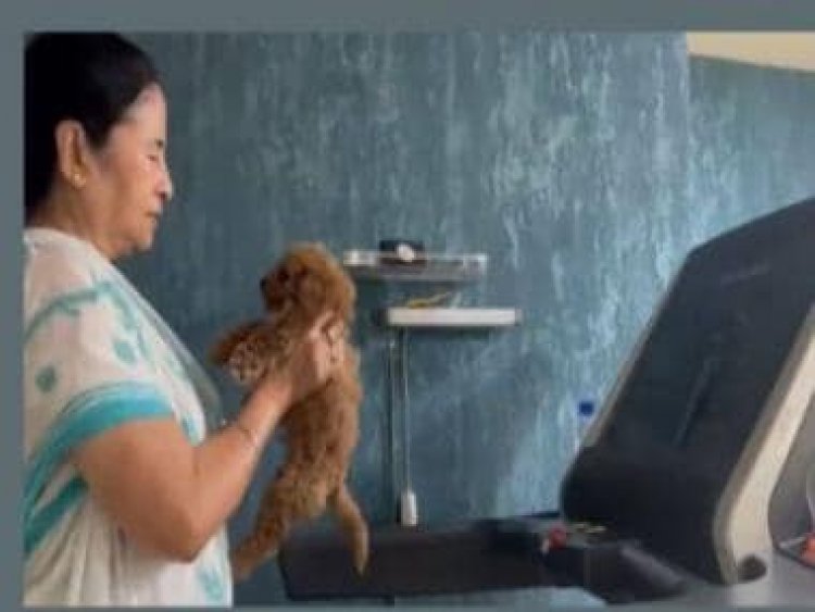 'Extra motivation': Mamata Banerjee's workout video has a furry friend