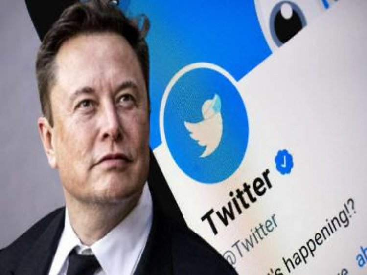 Twitter Purge: Elon Musk announces deletion of inactive accounts to free up unique usernames