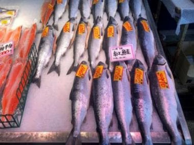 Ukraine War: Japan called out by Canada over imports of Russian seafood &amp; energy