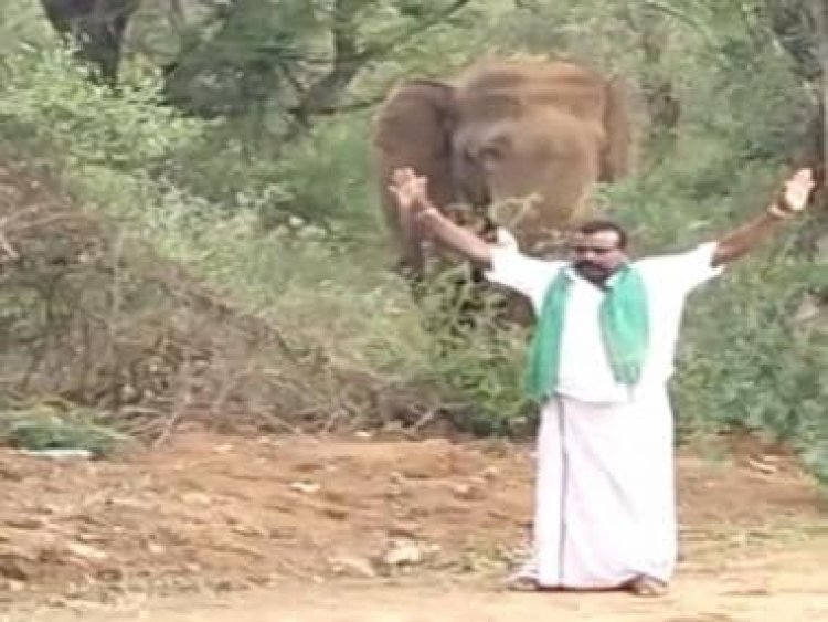 Viral: Man teases elephant with folded hands; his 'antics' anger internet