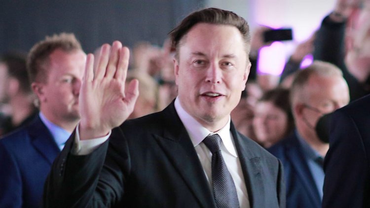 Reaction Pours In After Elon Musk Announces New Twitter CEO