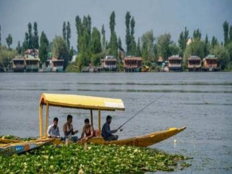 Jammu and Kashmir: Alarm bells ring among scientists, authorities after Alligator Gar Fish found in Dal Lake