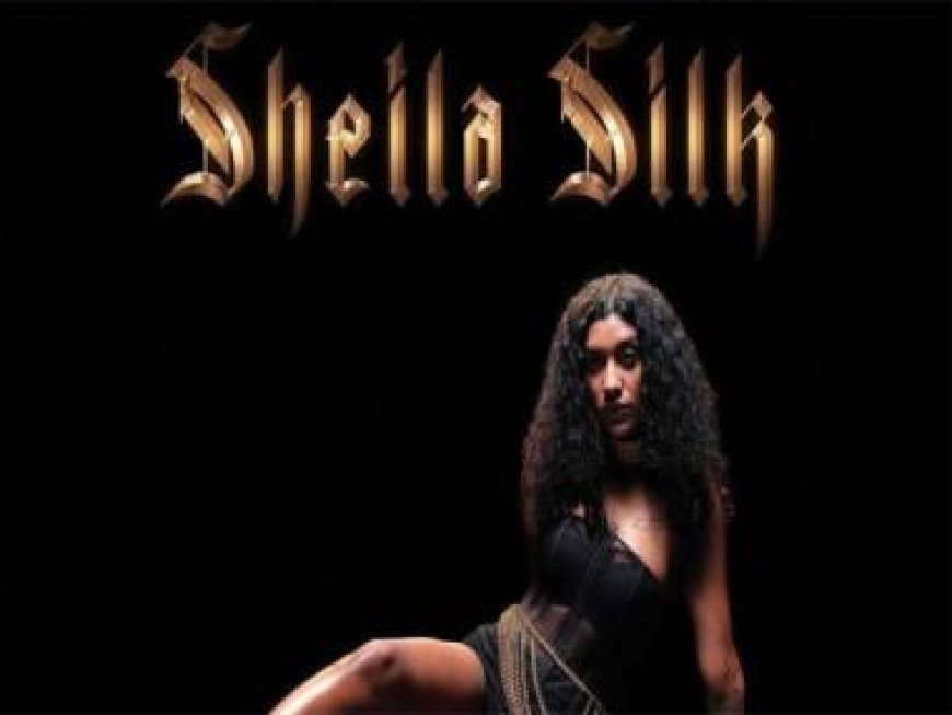 First female artist on Def Jam India, Irfana releases her first song 'Sheila Silk' with Def Jam India