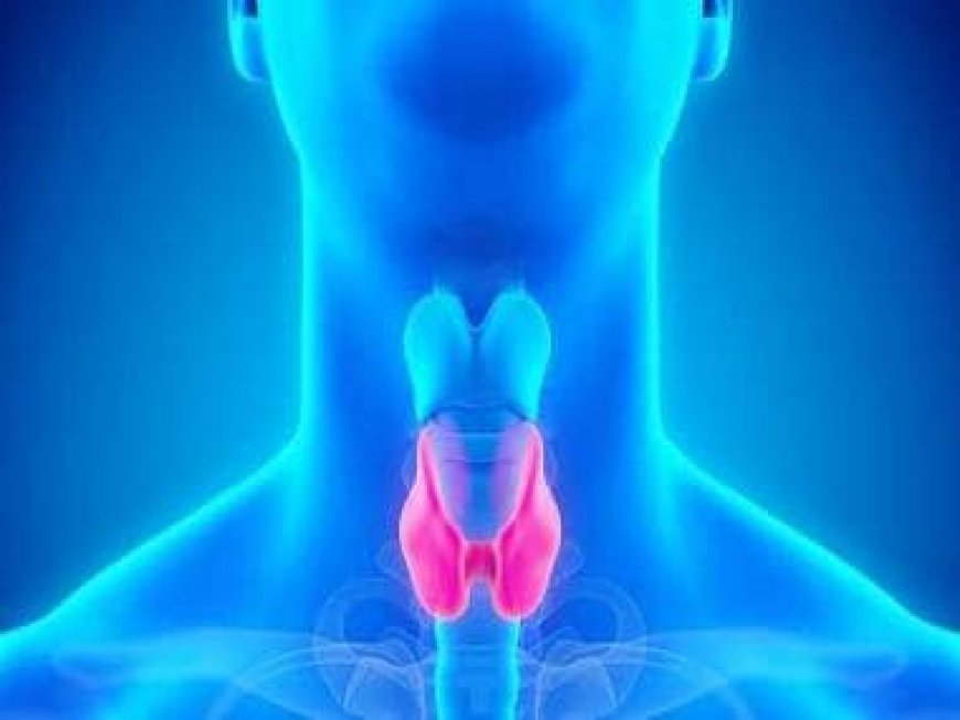 Thyroid: Symptoms, prevention and management of the disease
