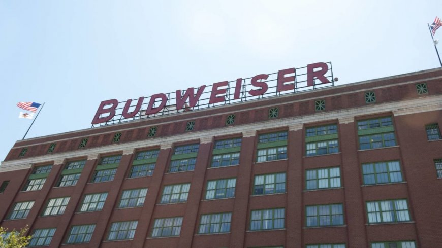 Anheuser-Busch Follows Coke In Bold New Move For Changing Market