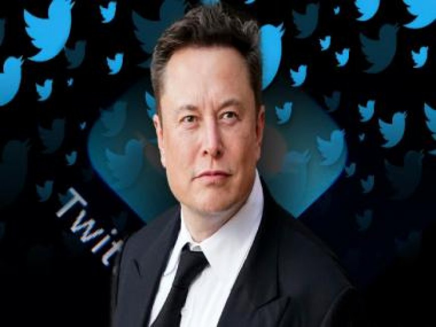 Elon Musk defends uptick in Twitter censorship, calls journo ‘numbskull’ for pointing it out