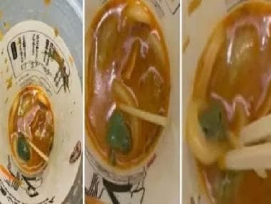 Watch: Japanese man spots live frog in his Udon noodles cup