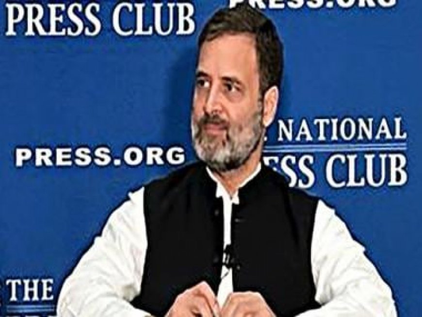 WFI sexual harassment case: BJP MP with heinous allegations safe under PM's protective shield, says Rahul Gandhi