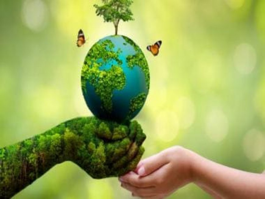 World Environment Day 2023: History, theme and significance