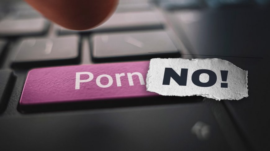 A New State Law Could Make It More Difficult For Users To Access Adult Websites