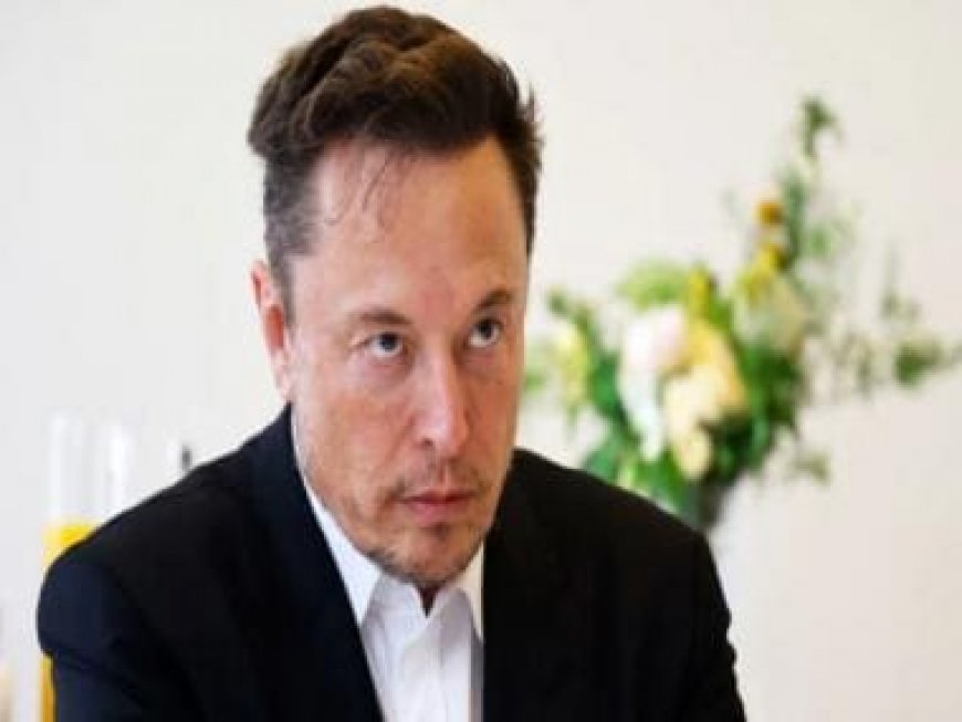 Musk v/s Media: Elon Musk wants more video shows on Twitter. Will he start a new channel?