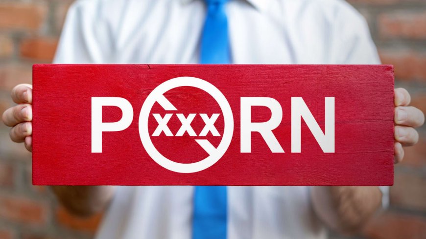 Why a Prolific Adult Site Has Banned Users Across Multiple States