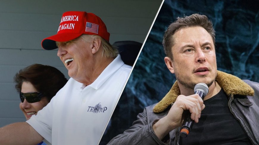 Elon Musk Has Warm Words for Donald Trump