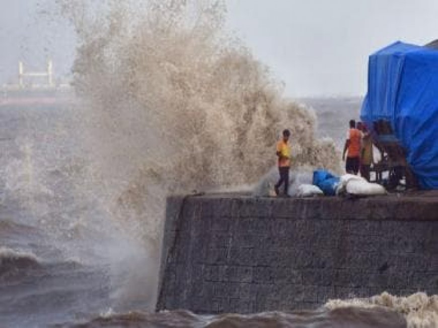 Cyclone Biparjoy: Ports and Shipping Ministry holds meeting to review preparedness