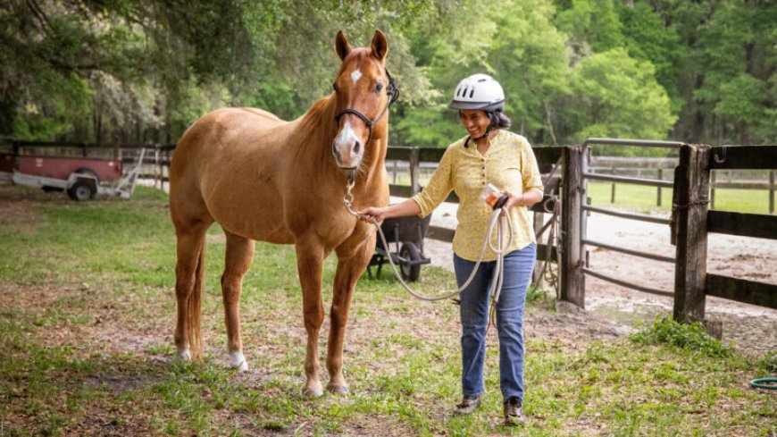 How understanding horses could inspire more trustworthy robots