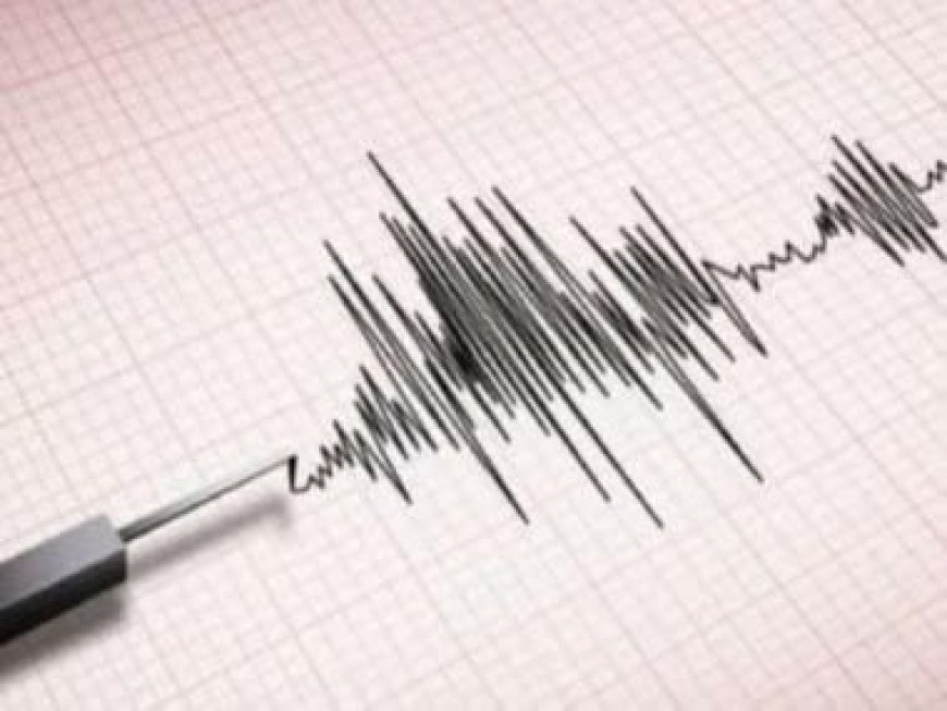 Assam earthquake LIVE Updates: Tremors felt in Assam's Guwahati and other parts of the northeast region