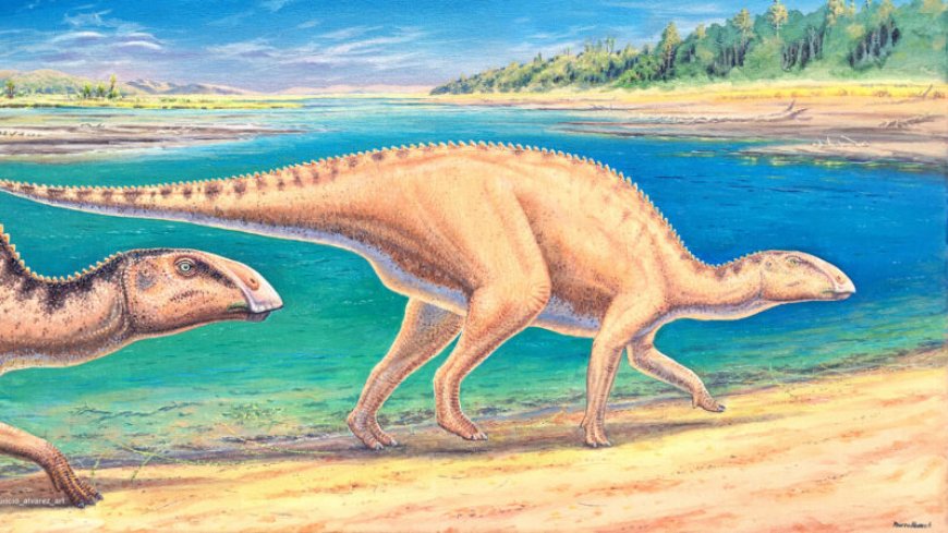 New fossils from Patagonia may rewrite the history of duck-billed dinosaurs
