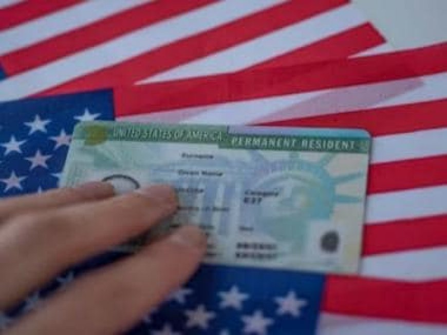 Biden administration eases green card eligibility norms ahead of PM Modi's US visit