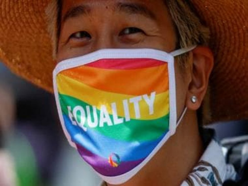 Japan passes LGBT ‘understanding’ law: How it is out of sync with the country’s society, history