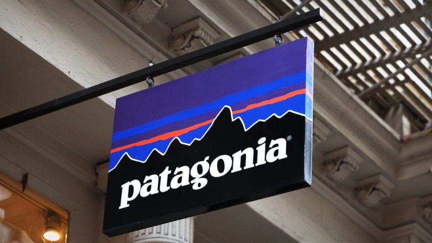 Patagonia Accuses Luxury Retailer Nordstrom of Selling Counterfeit Apparel