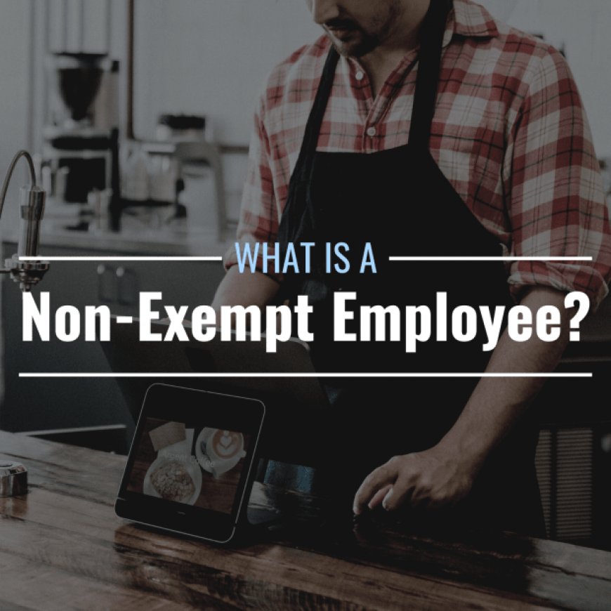 What Is a Non-Exempt Employee? Definition, Rights, Pros & Cons