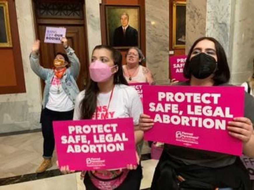 Legal abortion backed by majority in US, UK and India, only 8% support it in Nigeria: Pew Center