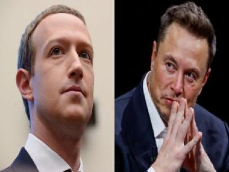 'No-win situation': Elon Musk’s father blasts cage fight against Zuckerberg, fears ‘total humiliation’