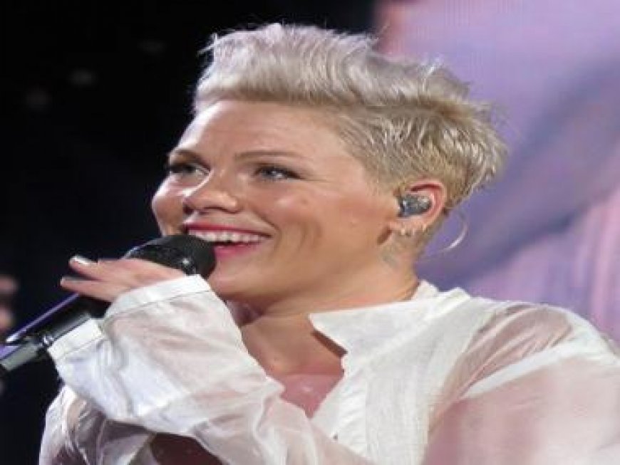 Singer Pink shocked after fan tosses mum's ashes on stage: 'Don’t know how I feel about this'
