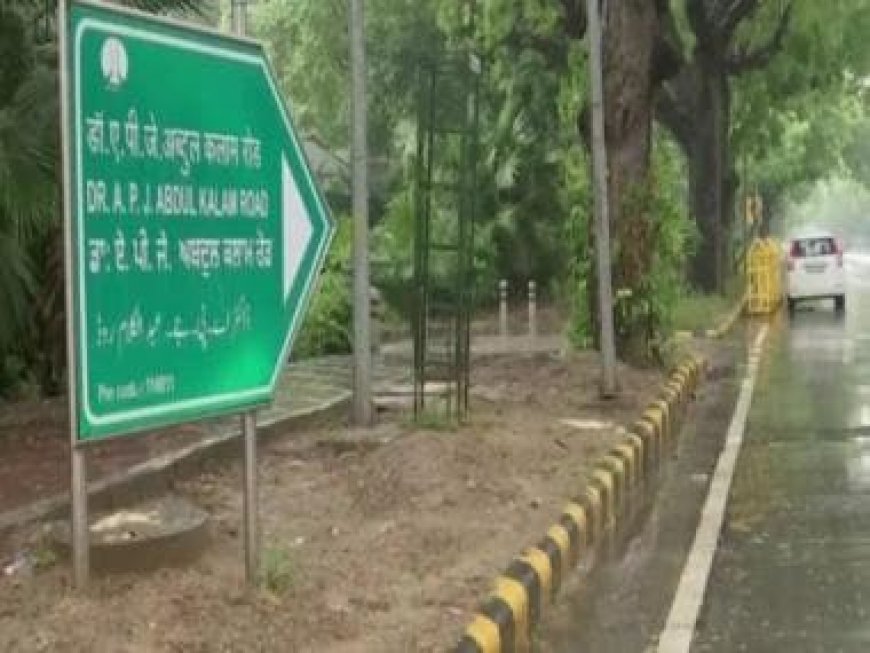 ‘Why should any road be named after Aurangzeb? He destroyed 1000 temples in India’: NDMC VC