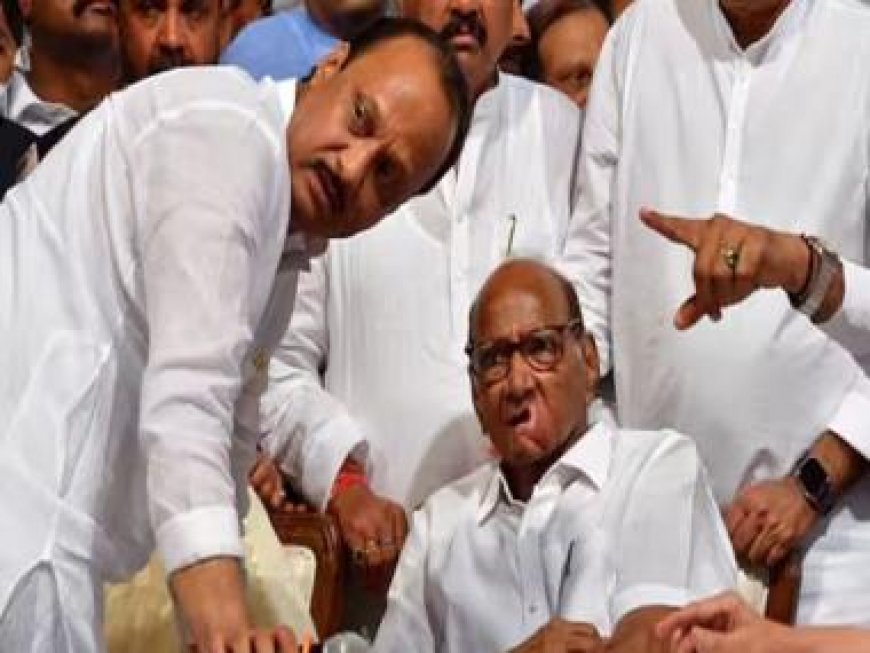 Pawar vs Pawar: Why all eyes have turned to Maharashtra Speaker Rahul Narwekar