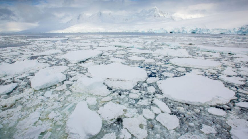 Antarctic sea ice has been hitting record lows for most of this year