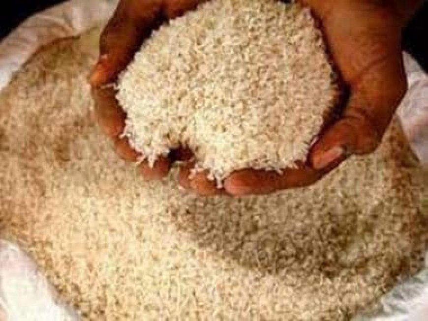 South Korea to sign deal with eight African nations to reduce reliance on rice imports