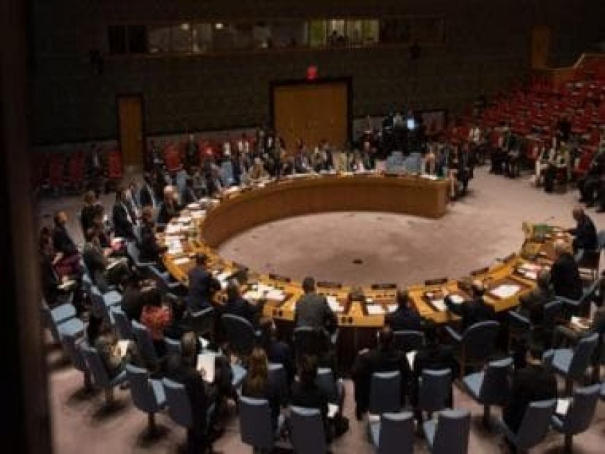India slams Pakistan for 'politically-motivated', 'venomous' remarks in UNSC