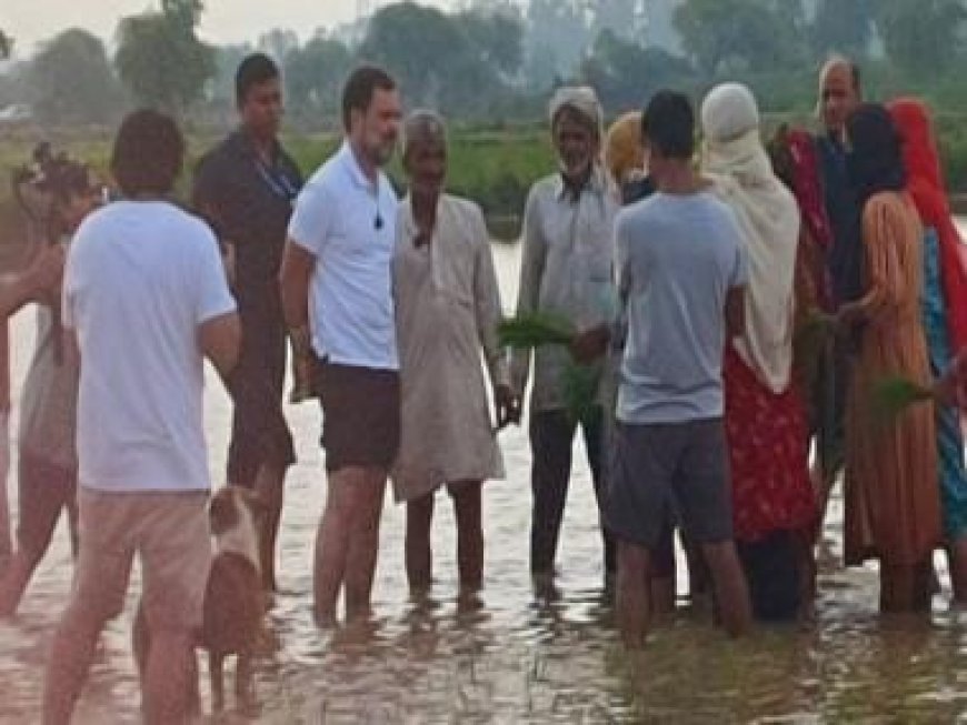 Rahul Gandhi makes impromptu visit to Haryana's Sonipat; interacts with villagers, rides tractor