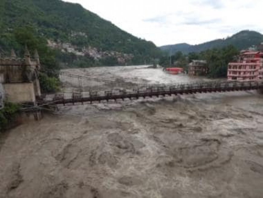 WATCH: Bridges swept away as heavy rains wreak havoc in Himachal Pradesh