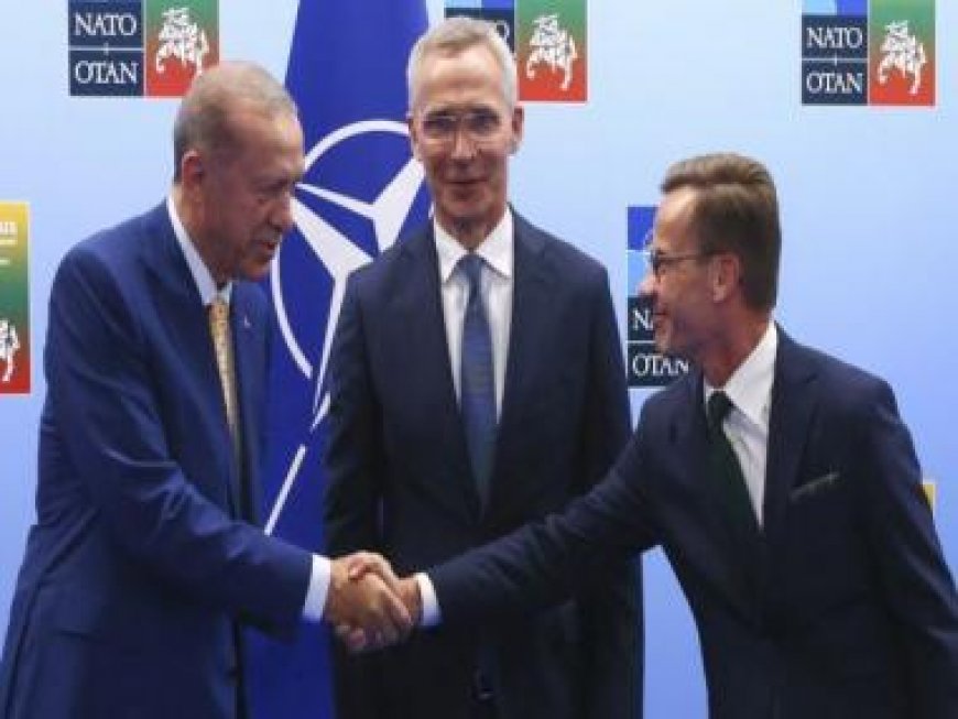 Sweden to join NATO: How did Turkey agree and what does the expansion mean?