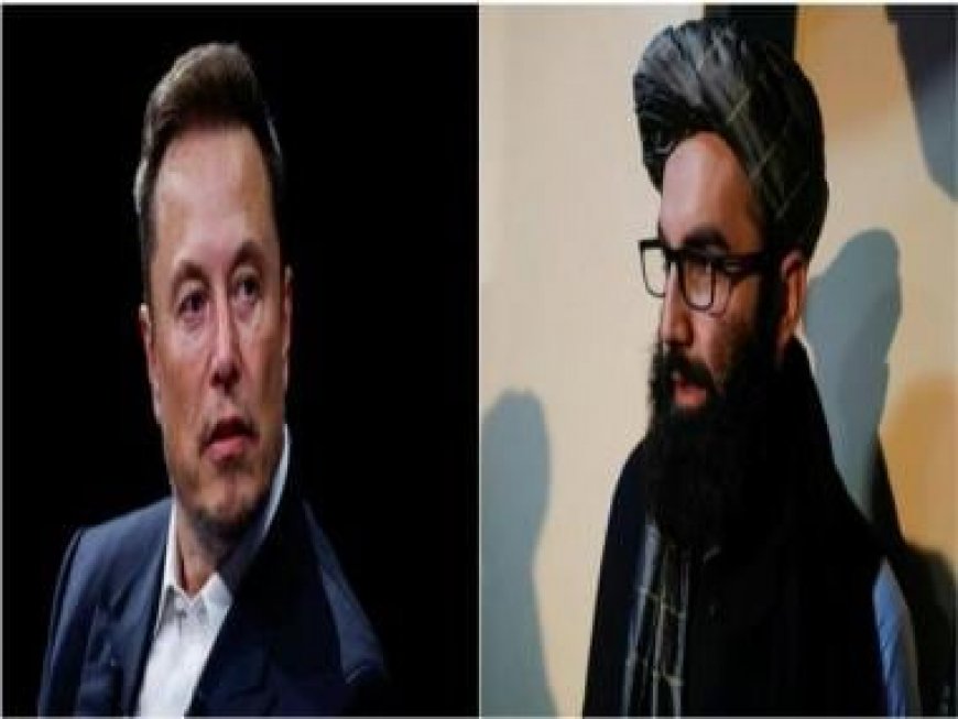 Know who are Elon Musk's Afghan fan boys