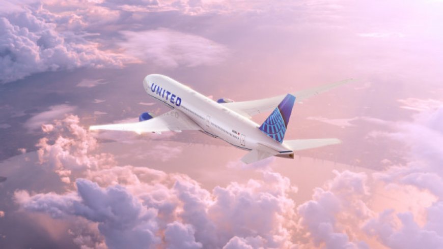 United Airlines Flight Forced to Make Emergency Landing After Passenger Meltdown