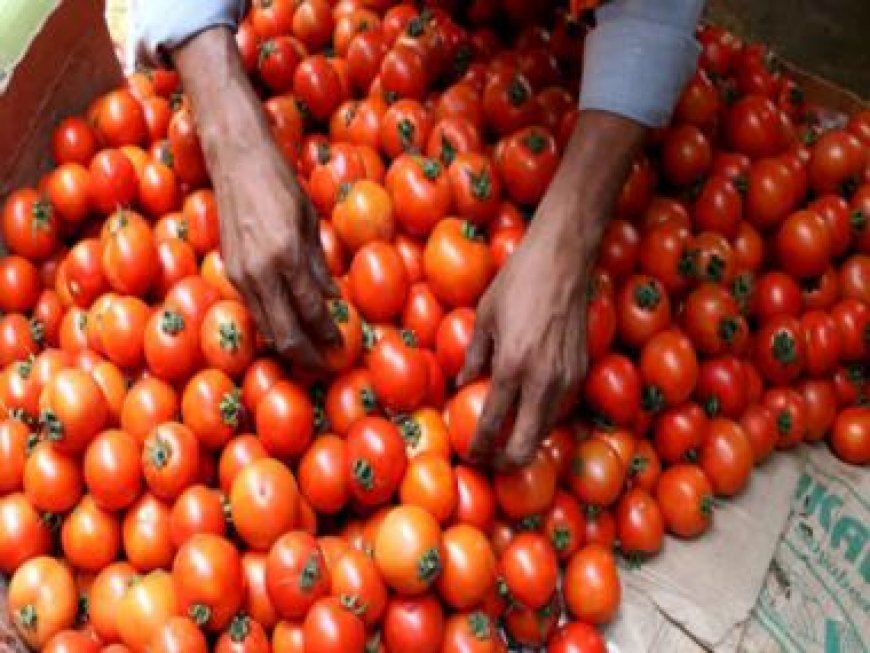 Red-faced: How customs ‘lost’ 3 tonnes of tomatoes smuggled into India via Nepal