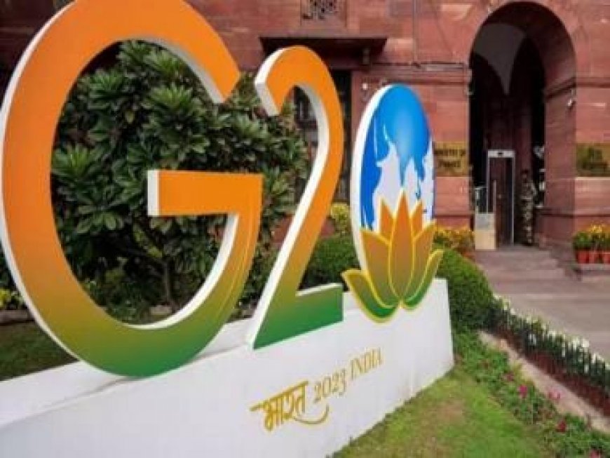 India's proposal for G20 membership for African Union included in draft communique for grouping's summit