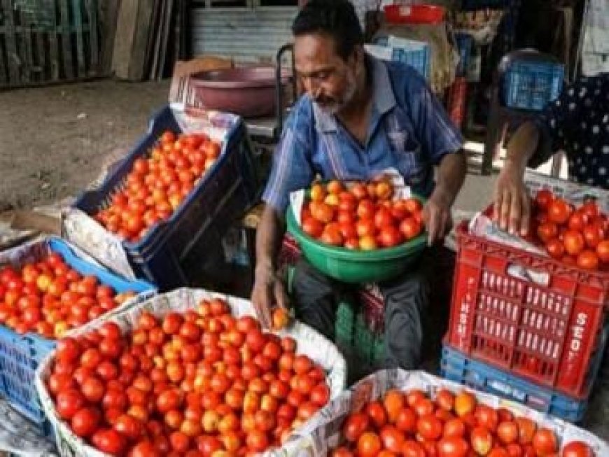 Tomato prices surge up to Rs 250 kg, Centre selling at Rs 90 kg in Delhi-NCR, Patna and Lucknow
