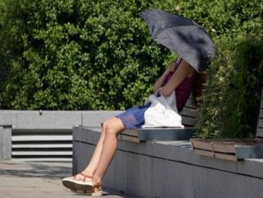 Record heatwaves sweep the world, from US to Europe and Asia