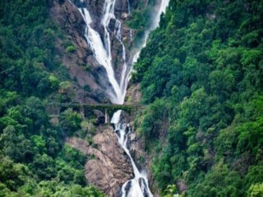 Railway Police punishes trekkers to Dudhsagar Falls, make them do sit-ups; video viral